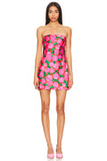 Taylor Tube Mini Dress