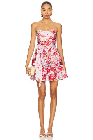 Elina Mini Dress