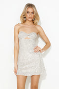 Sparkles Flying Sequins Mini Dress Silver